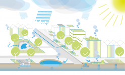 Elemente der Schwammstadt - © Grafik: MUST Städtebau