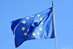 Neues VBI-Merkblatt zur EU-Taxonomie