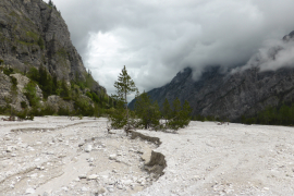 Wimbachgries, oberer Teil der Schuttströme: das hintere Ende des Wimbachtals stellt eine riesige Schuttlandschaft dar. In kleinen Teilen haben sich Pflanzen und Bäume angesiedelt. Das Foto zeigt den Bereich Mitterfleck. Diese Schuttlandschaft ist Geotop im Landkreis Berchtesgaden. Foto: Rosa-Maria Rinkl / Wikipedia / CC BY-SA 4.0