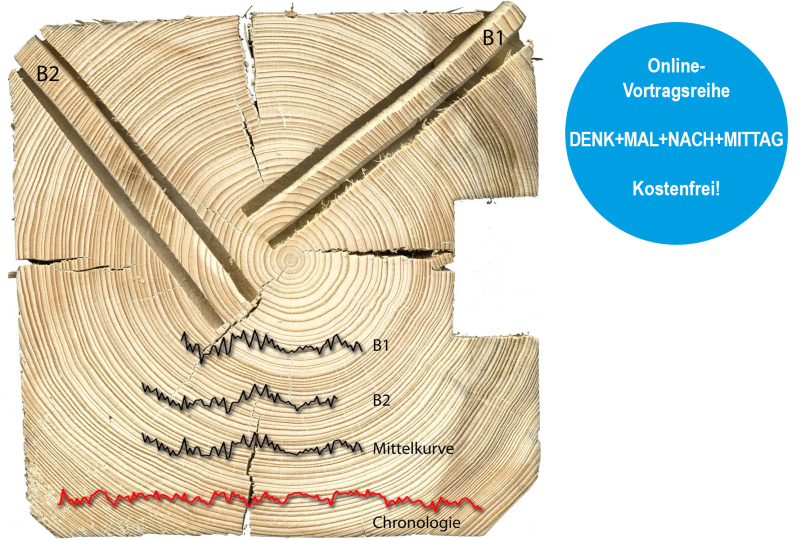 DENK-MAL-NACH-MITTAG: Dendrochronologie - 26.09.2025 - Online - Kostenfrei