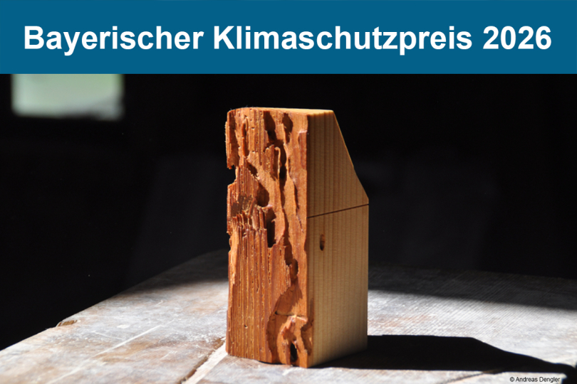 Bayerischer Klimaschutzpreis 2026: Bis 31. Januar 2026 Vorschläge einreichen