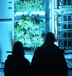 Seit Herbst 2024 ist die innovative Fassadenbegrünung Tag und Nacht im Einsatz. © Dana Höftmann