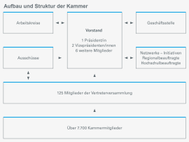 Aufbau und Struktur der Kammer