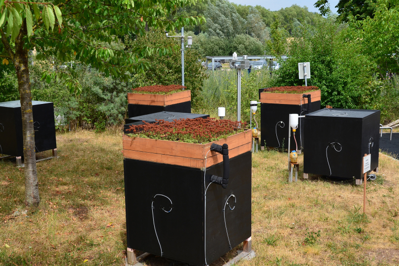 Miniaturgebäude-Teststand zur Untersuchung des neuartigen Dachbegrünungskonzeptes mit integriertem Wärmeübertrager-Kühlkreis. © Matthias Wörlein / HSWT