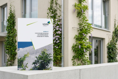 Neues Merkblatt: Fassadenbegrünung an Wärmedämm-Verbundsystemen (WDVS)